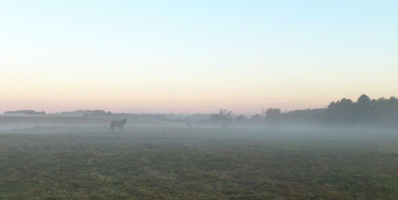 Vila Zlota Lesniczowka Rydzowka Exteriér fotografie