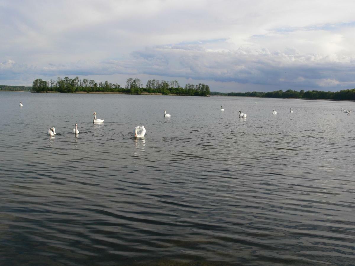 Vila Zlota Lesniczowka Rydzowka Exteriér fotografie