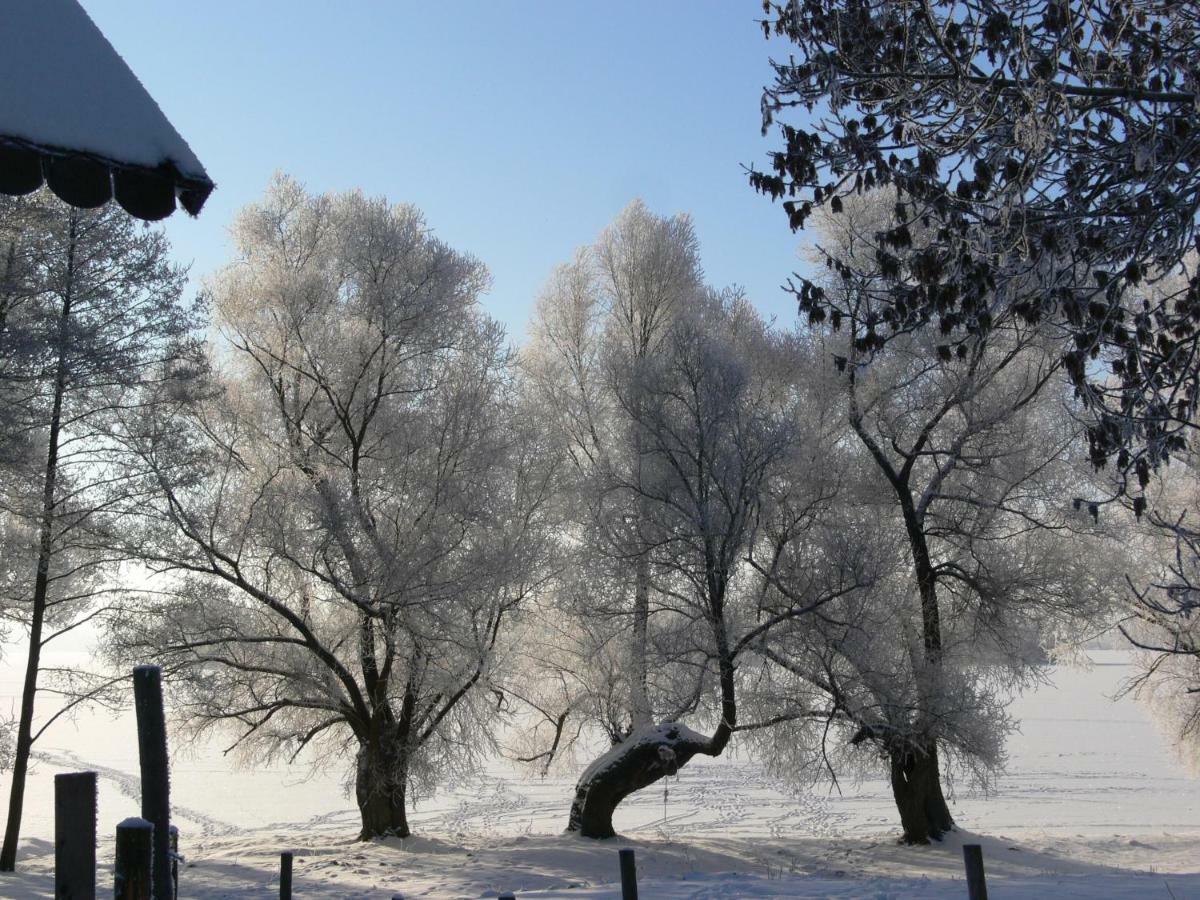Vila Zlota Lesniczowka Rydzowka Exteriér fotografie