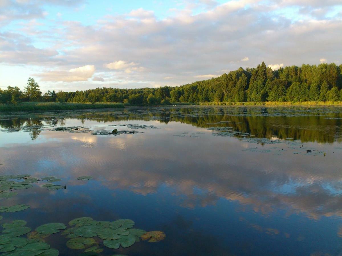 Vila Zlota Lesniczowka Rydzowka Exteriér fotografie